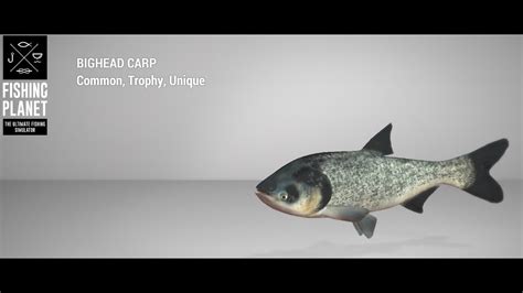 Fishing Planet Sander Baggersee Lake Trophy Bighead Carp Float