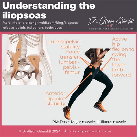 Iliopsoas Release Beliefs Indications Techniques Find Out More