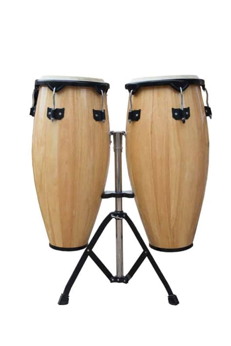 Bongo Conga And Djembe Faq All You Need To Know Sound Adventurer