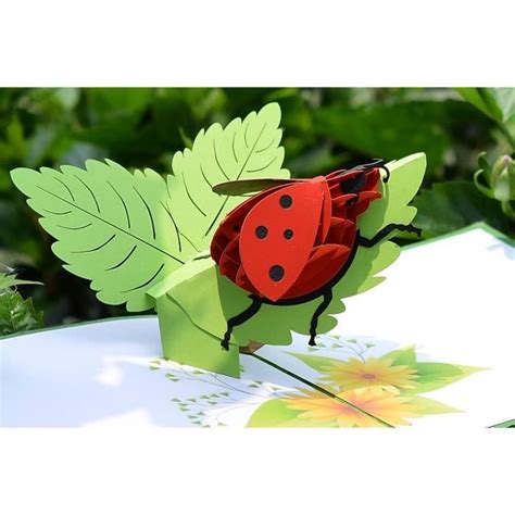 CutpopupCarte D Anniversaire Pop Up 3D En Forme De Coccinelle Pour