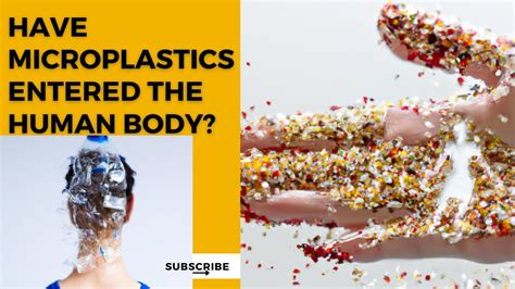 Have Microplastics Entered The Human Body Youtube