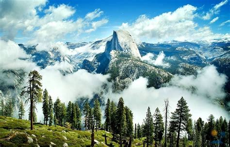 Национальный парк Йосемити | Yosemite national park, National parks ...