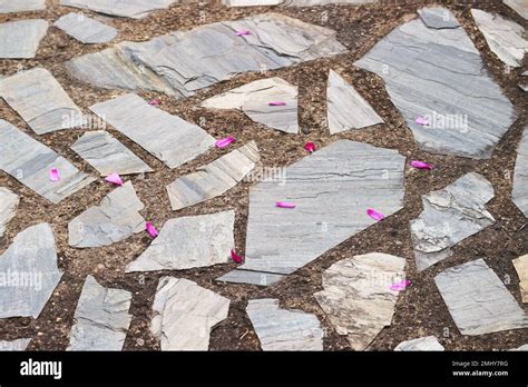 Stepping Stone And Gravel Hi Res Stock Photography And Images Alamy