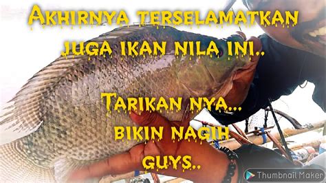 Mantapp Sambaran Ikan Nila Di Rakit Ini Bikin Ketagihan Mancing