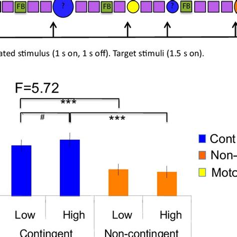 Task Design And Performance A Schematic Of Stimulus Presentation