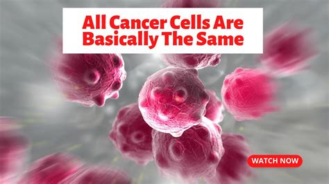 Dr Farrah® All Cancer Cells Are Basically The Same Youtube