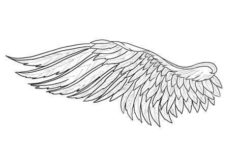 Angel Wings Tattoo Stencil Tattoo Stencil Outline Tattoo Stencils