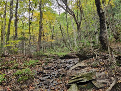 This Scenic Hiking Trail In Vermont Might Be Even Better Than The Swiss ...