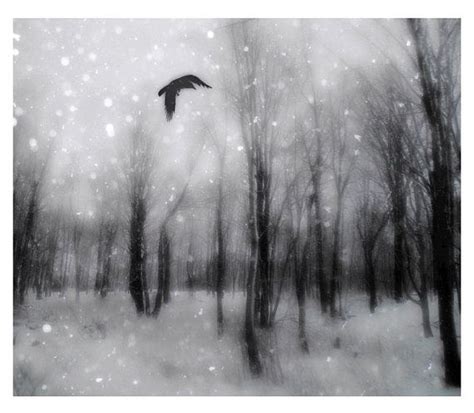 Raven Print Snowy Woods Raven Art Winter Woods Nature | Etsy | Wood photograph, Monochrome art ...