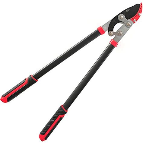 6 Best Garden Loppers - BuyNew