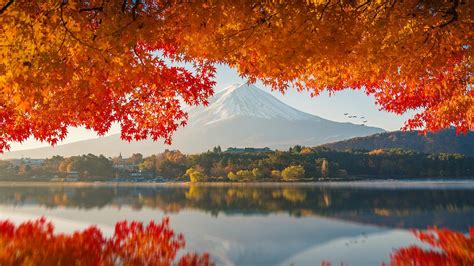 Mount Fuji (1920x1080) : r/wallpaper