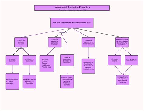 Nif A 5 Mapa Conceptual Se Divide En Consiste En Se Dividen En Nif A 5 Elementos Básicos