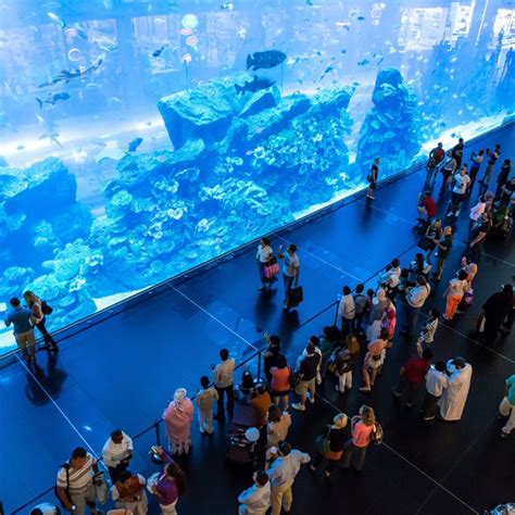 Burj Khalifa Th Th Floors Dubai Aquarium Gimifun