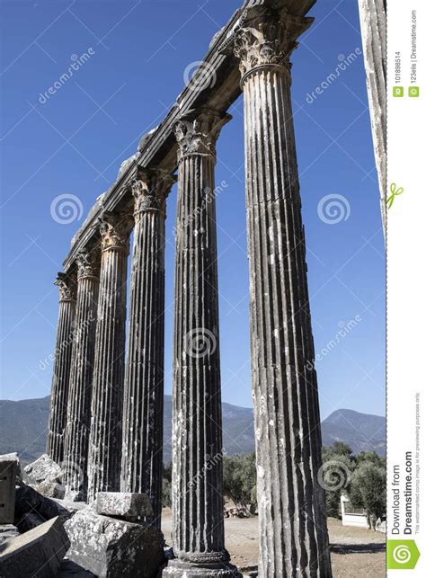 Euromos Temple Stock Photo Image Of East Column Forest