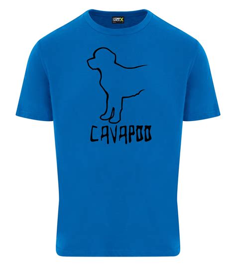 Health screenings will be vital for every adult cavapoo 14