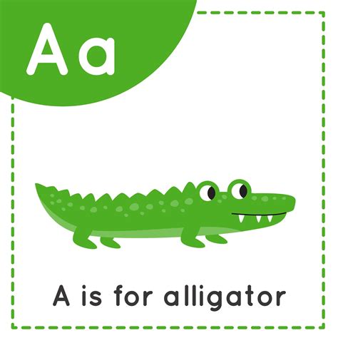 Learning English Alphabet For Kids Letter A Cute Cartoon Alligator