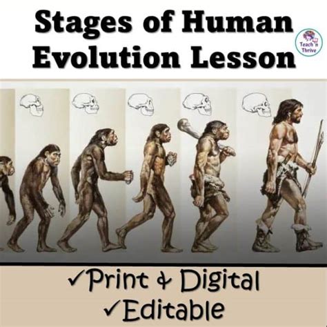 Stages Of Human Evolution Close Read Lesson Editable Copy