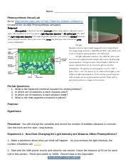 Gen Bio Photosynthesis Virtual Lab Docx Name Photosynthesis Virtual