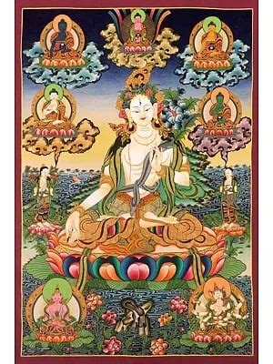 White Tara With Five Buddhas Thangka Brocadeless Thangka Exotic