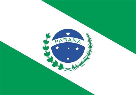 Bandeira Do Paraná Uma Face 70x100cm 230561 Elo7