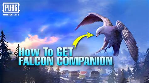 How To Get Falcon Companion In Pubg Lite Fyrx Youtube