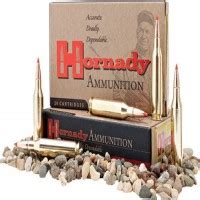 350 Legend Ammo Hornady Ammo Ftx