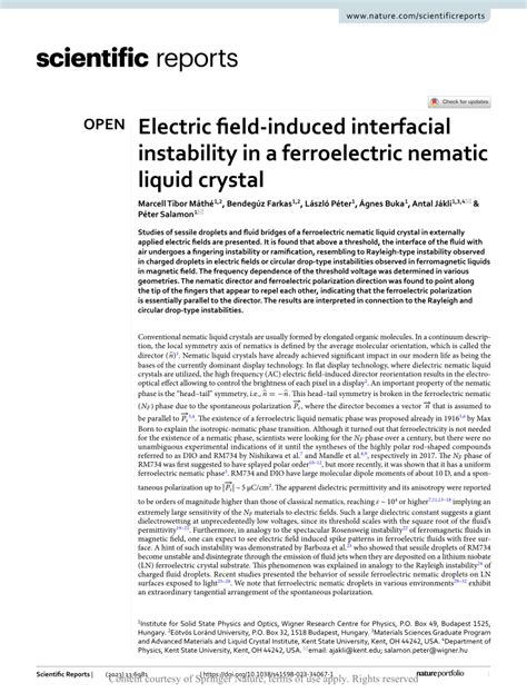 Pdf Electric Field Induced Interfacial Instability In A Ferroelectric