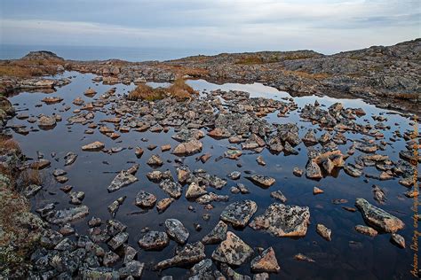 Где залегает складчатый фундамент балтийский щит 81 фото