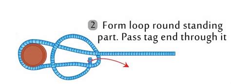 19+ Arbor Knot Diagram - ElahRuhina