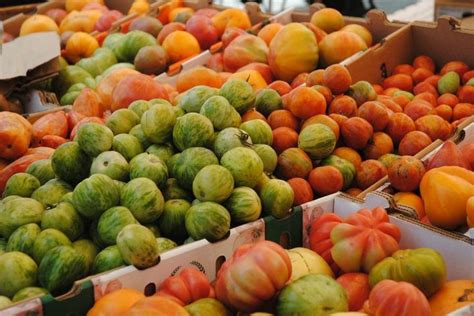 San Francisco Farmers Market Farmers Market Sprouts Vegetables