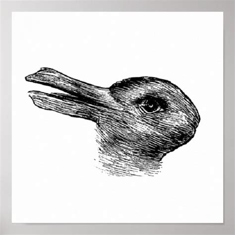 a black and white drawing of a bird with its head turned to the side, looking straight ahead