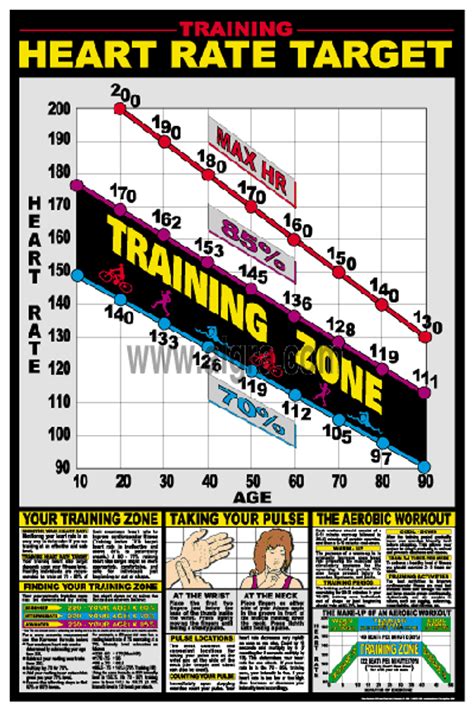 Heart Rate Chart Exercise Ubicaciondepersonascdmxgobmx