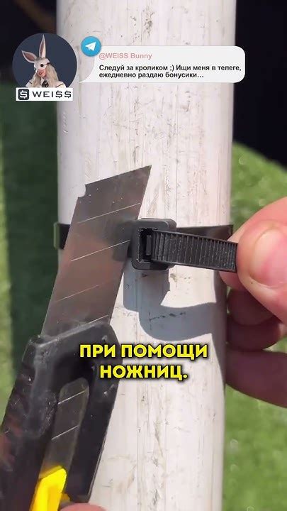 Бесконечный одноразовый хомут? #хомут #гений #чудо #shorts - YouTube