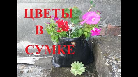 Кашпо для цветов из старой сумки/НА Даче - YouTube
