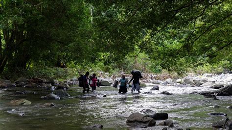 Esta Es La Alarmante Cifra De Migrantes Que Han Cruzado La Selva Del