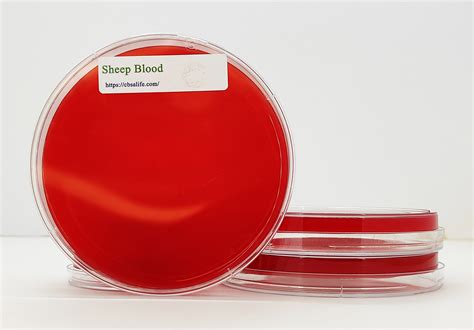 Sheep Blood Agar Cbsalife