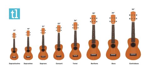 Top 15 Best Ukulele For A Beginner 2024 Teds List