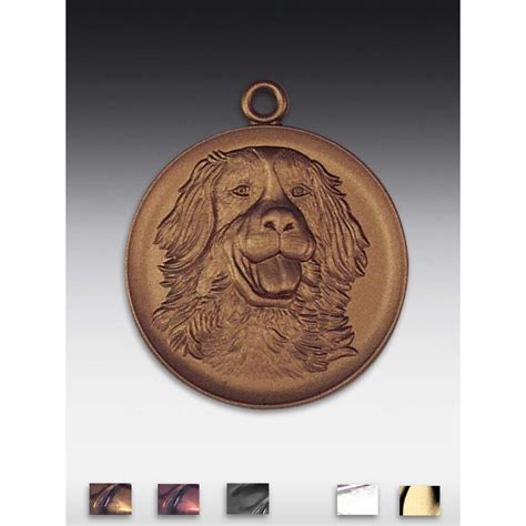 Medaille Bern Sennenhund Mit Se Mm Bronzefarben Siber