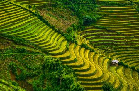 Terrace Paddy Field Smithsonian Photo Contest Smithsonian Magazine