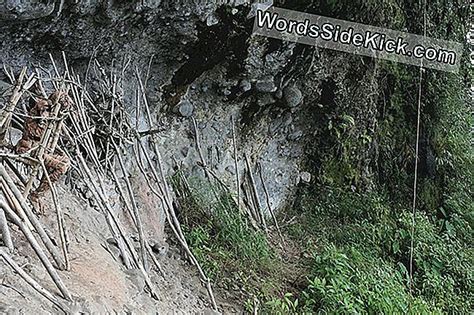 In Fotos De Gerookte Mummies Van Papoea Nieuw Guinea 2025 Cultuur