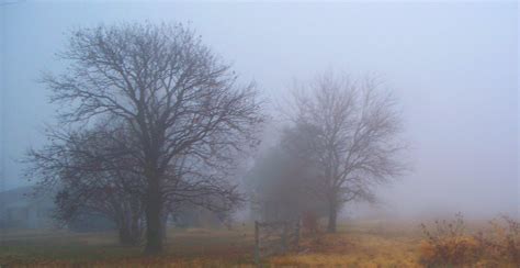 Autumn Mist Misty Autumn Morning November 20 2010 Central Flickr