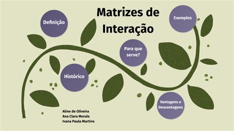 Matrizes de Interação by Ana Clara Morais on Prezi