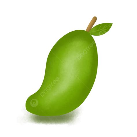 Green Mango Young Mango Mango Fruit Png Transparent Clipart Image