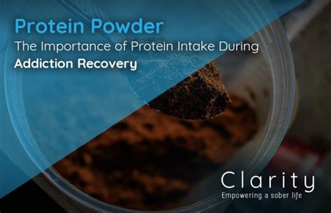 Protein Powder The Importance Of Protein Intake During Addiction