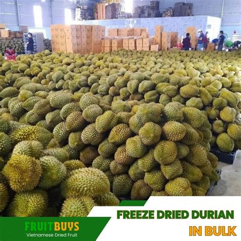 Health Benefits Of Durian Why You Should Try This Exotic Fruit