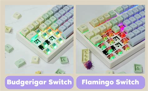 Epomaker Th Hot Swappable Rgb Ghz Bluetooth Wired Mechanical Gaming Keyboard With