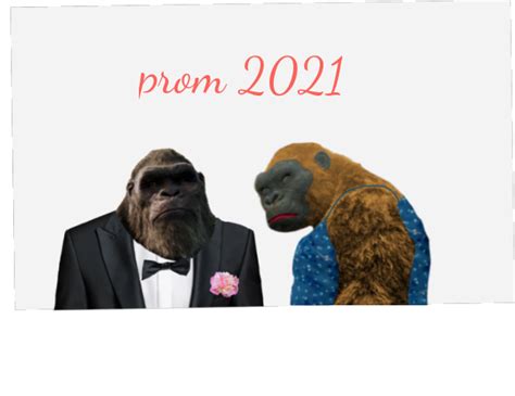 The Kongs Prom Season By Kingcapricorn688 On Deviantart