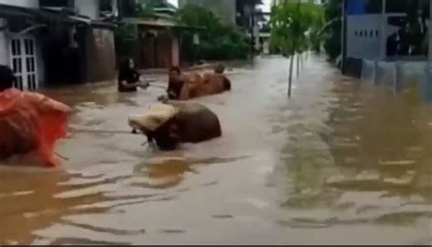 Kecamatan Di Kabupaten Malang Dikepung Banjir Ketinggian Capai