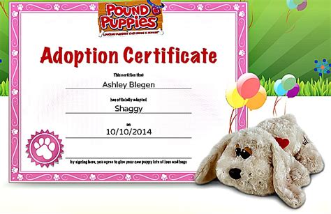 Pound Puppies Review- I Love My Kids Blog