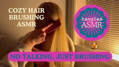 Cozy Hair Brushing And Combing Asmr No Talking Tanglesasmr Youtube